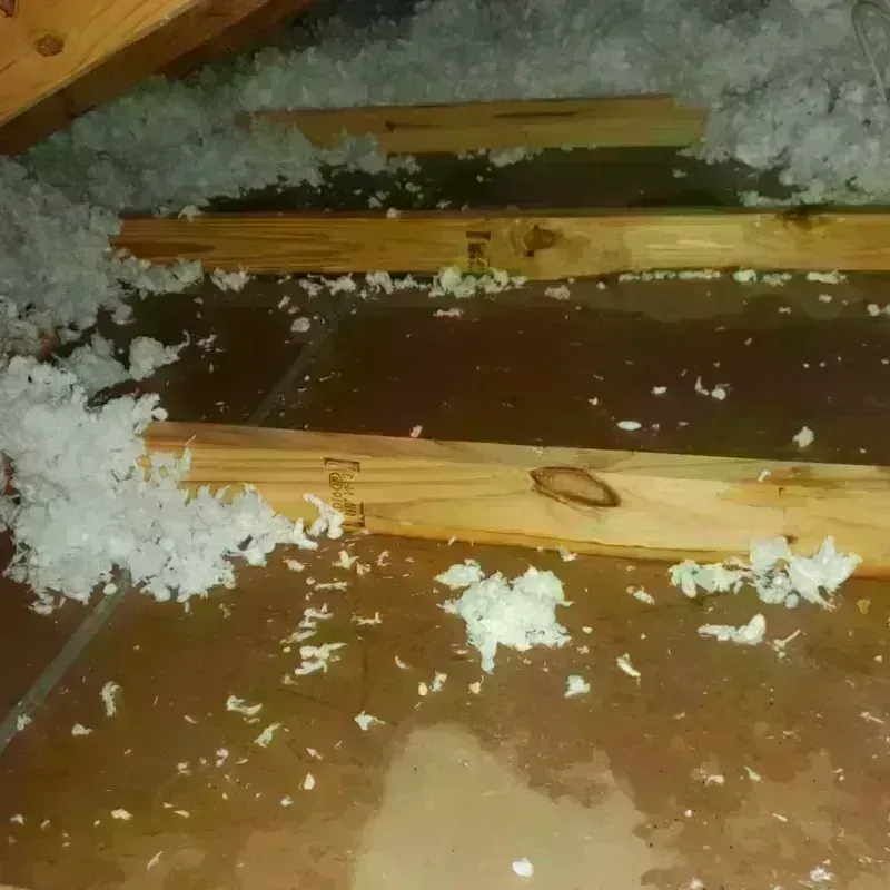 Attic Water Damage in Basile, LA